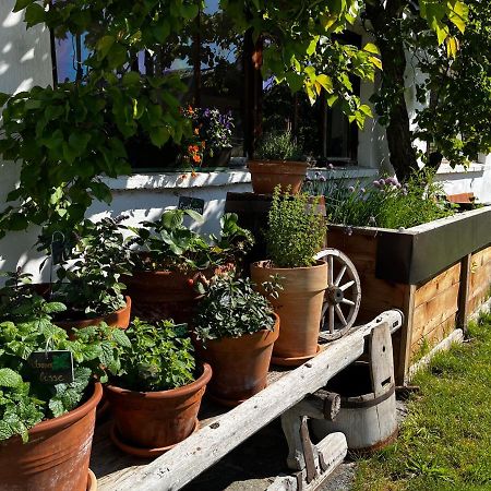 Gaestehaus Fitsch Obsteig Exterior foto